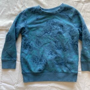 Cat and Jack dino pull over sweatshirt